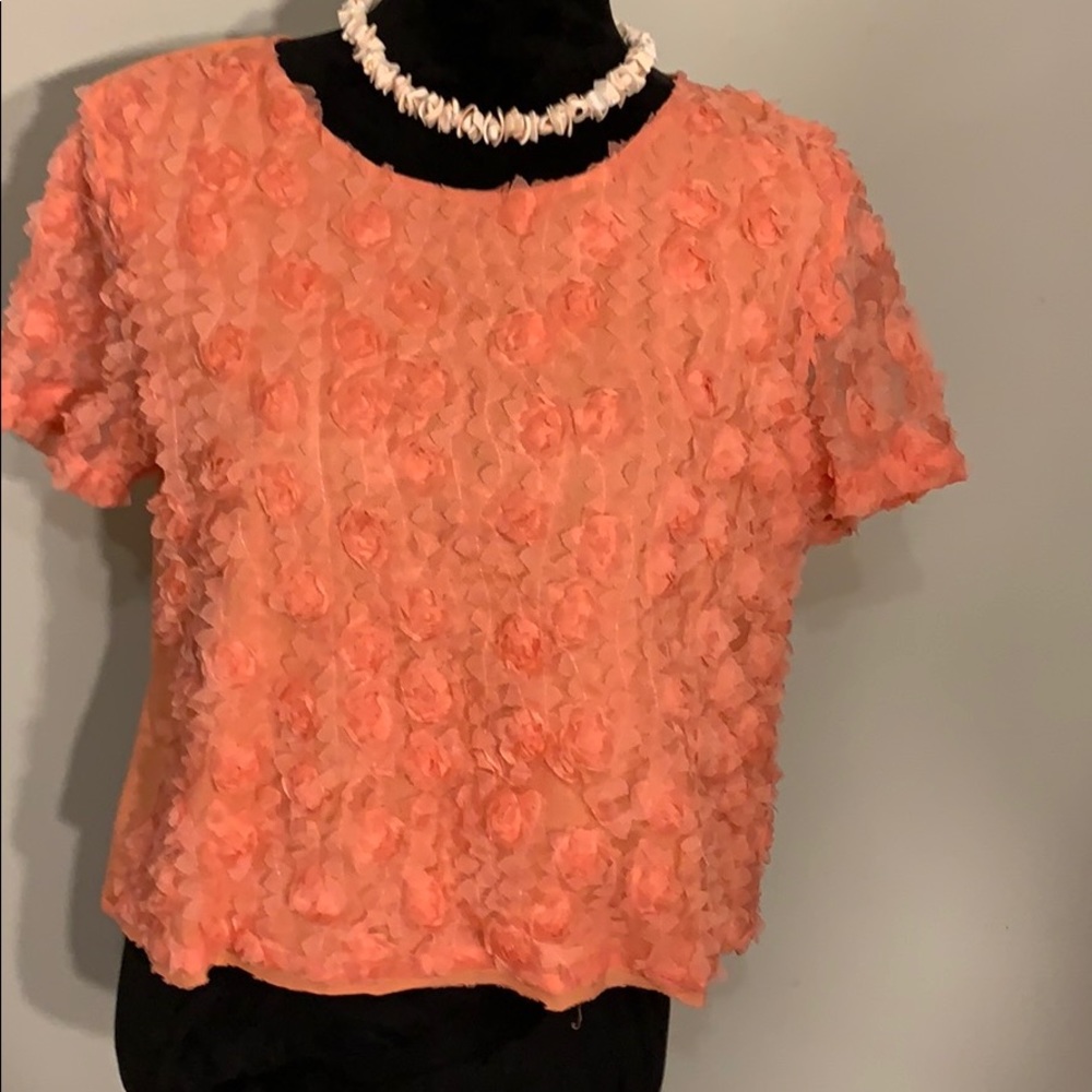Pink flower crop top sheer sleeves zipper back